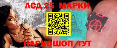 гидра Дубна