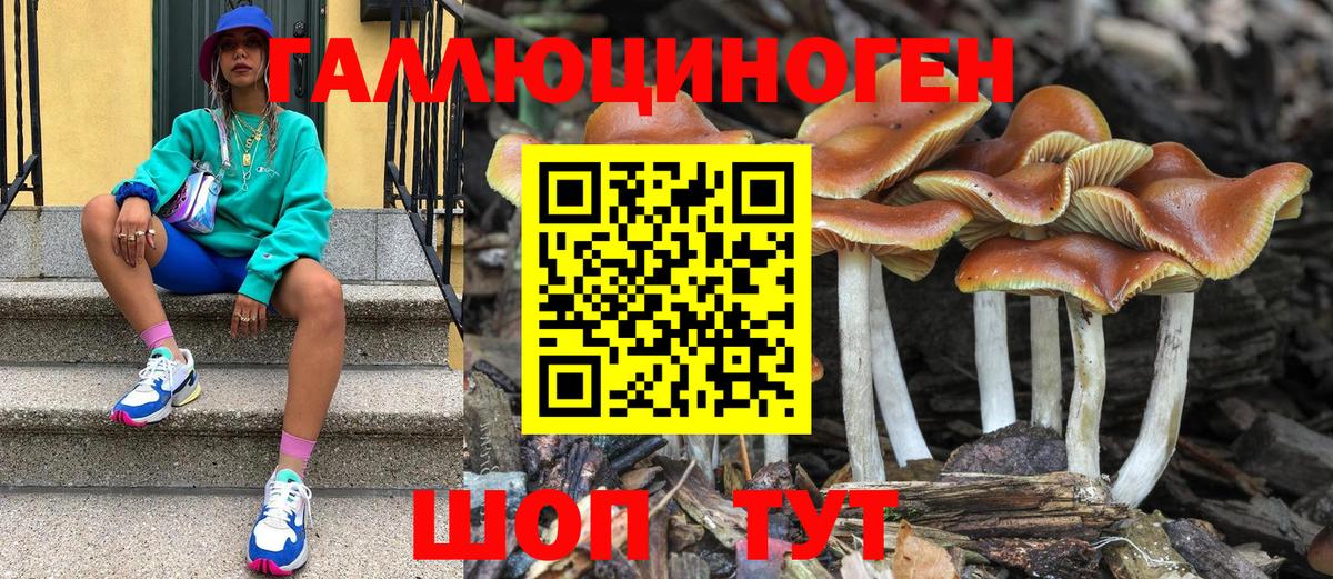 Галлюциногенные грибы прущие грибы  Вход с VPN  Темрюк 